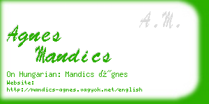 agnes mandics business card